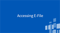 Service Providers Accessing E-File